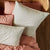 Terra Stone Standard Pillowcase Pair