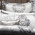 Bayview Pillowcase Pair