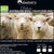 500gsm Australian Winter Wool Quilt