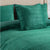 Stella Green Plush Cushion (43 x 43cm)