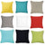 Eden Cushion (43 x 43cm)