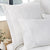 Abbotson White Quilted European Pillowsham