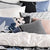 Arbor Carbon Standard Pillowcase Pair