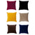 Morris Cushion (45 x 45cm)
